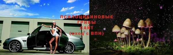 тгк Струнино