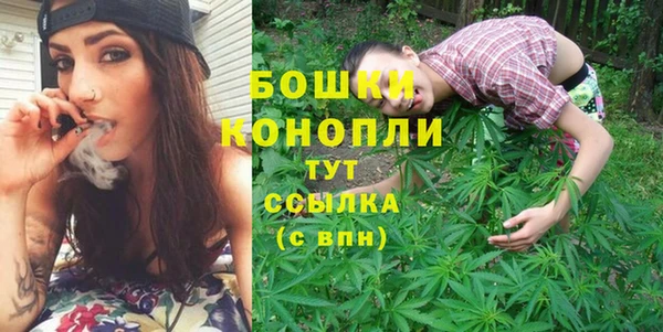 ECSTASY Строитель