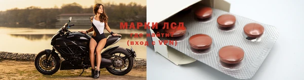 ECSTASY Строитель
