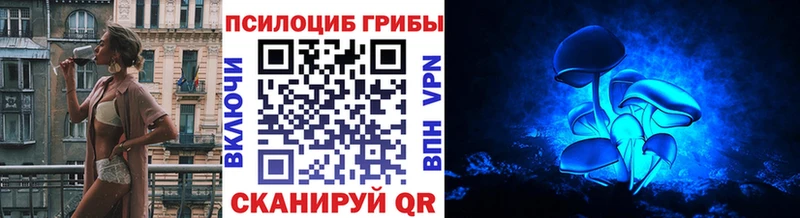 Галлюциногенные грибы GOLDEN TEACHER Купить Камень-на-Оби